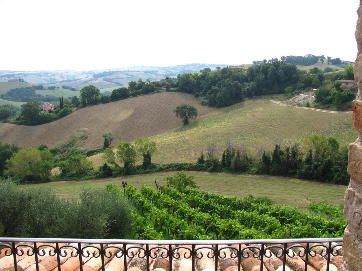 Agriturismo Bacchiocchi Bed & Breakfast Orciano di Pesaro Luaran gambar